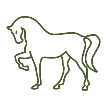 Caballos